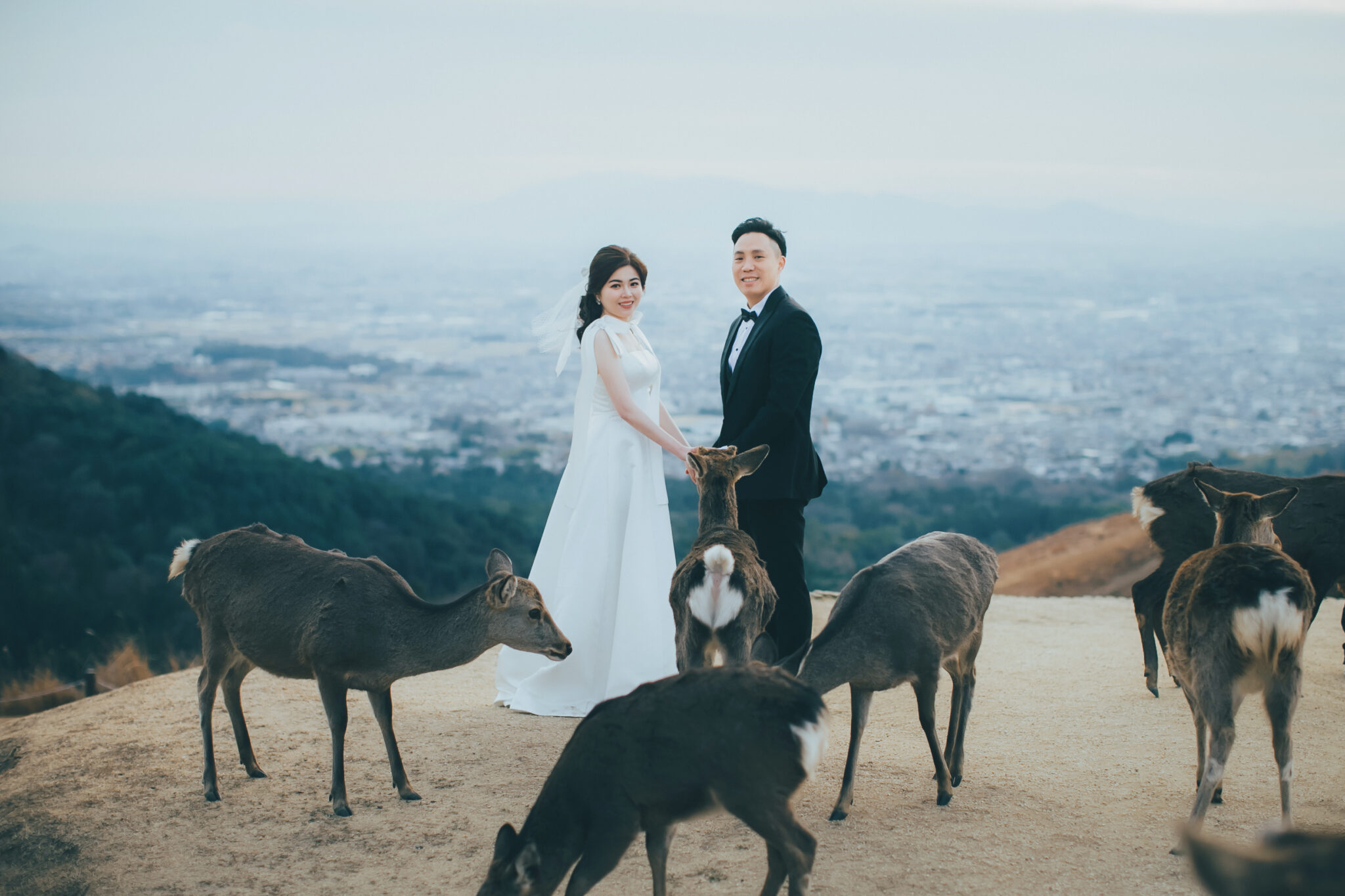 奈良公園櫻花季婚紗照-春季海外婚紗