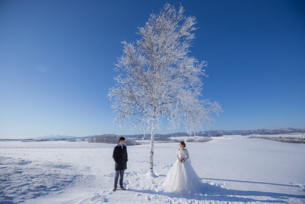 婚紗照姿勢・北海道美瑛雪原上的孤樹與 北海道美瑛雪原上的孤樹與新人|婚紗照推薦