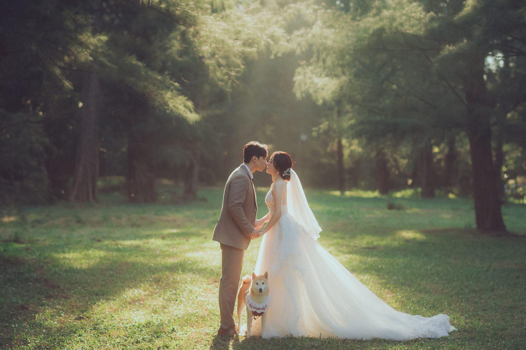 新竹森林・和毛孩一起 新竹森林婚紗,新人和毛孩一起入鏡|婚紗工作室推薦