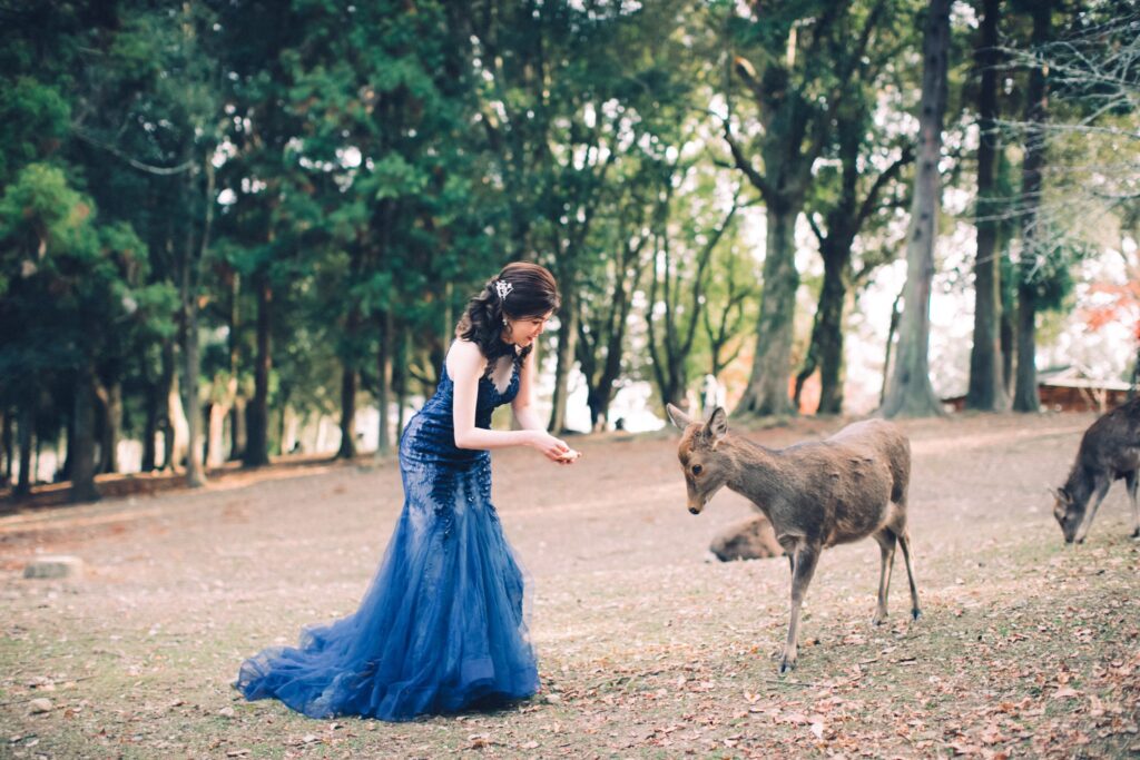關西海外婚紗・奈良公園樹林中藍色禮服新娘與小鹿 奈良公園樹林中藍色禮服新娘與小鹿|奈良小鹿婚紗