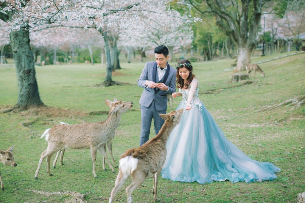 日本海外婚紗 奈良公園小鹿 日本海外婚紗 奈良公園小鹿